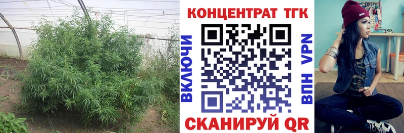 Дистиллят ТГК гашишное масло мега онион Киселёвск